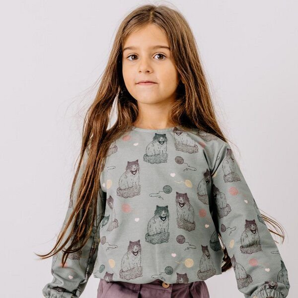 Kinder Sweatshirt GOTS-zertifiziert aus Bio-Baumwolle, grau mit Katzen-Print, langarm – Walkiddy, weich, hautfreundlich ...