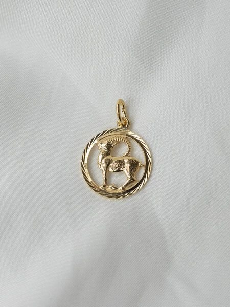 ST'ATOUR CAPRICORNUS // STEINBOCK – Sternzeichenanhänger OHNE Kette