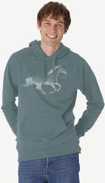 Peaces.bio - handbedruckte Biomode Bio-Herren-Kapuzensweater Horsepower