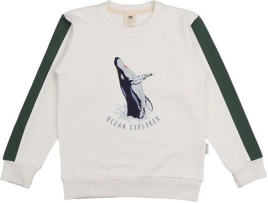 Kinder Sweatshirt Bio-Baumwolle Jumping Whales Walkiddy, GOTS-zertifiziert, kuschelweich, vegan, fair produziert, mariti...