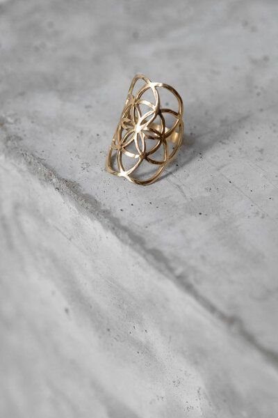 Jyoti - Fair Works Ring Raichur Messing