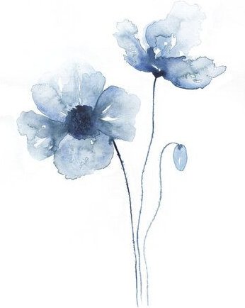 Photocircle Poster / Leinwandbild - Blue Poppies No. 2