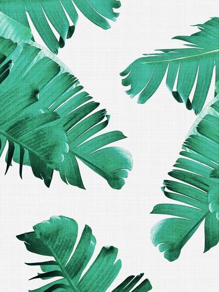 Photocircle Poster / Leinwandbild - Tropical Leaves