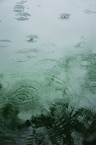 Photocircle Poster / Leinwandbild - Raindrops under the Tree