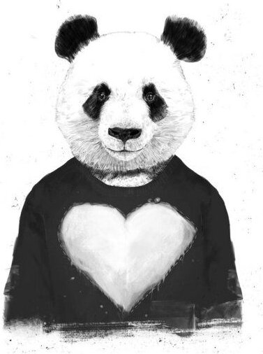 Photocircle Poster / Leinwandbild - Lovely panda