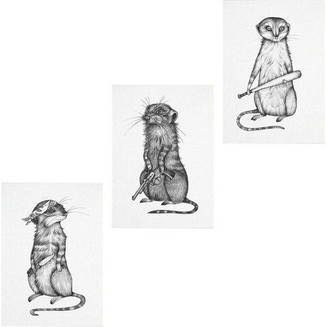 Postkarten 3er-Set »Gefährliche Tiere« von LIGARTI | aus Bambuspapier | nachhaltige Geburtstagskarten | Grußkarten