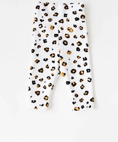 Baby Sweat Leggings *Leopard* Bio Baumwolle | NoniKids Berlin