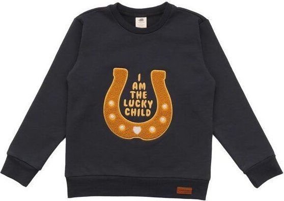 Bio-Baumwoll-Sweatshirt Baby Anthrazit Shire Horses Walkiddy GOTS-zertifiziert umweltfreundlich elastisch und bequem