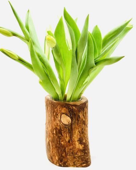 Olivenholz erleben Vase Valentina aus Olivenholz