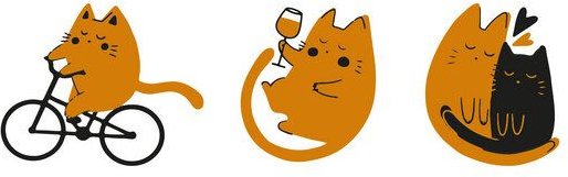 GARY MASH Shirt Asheville Ich & meine Katze aus Biobaumwolle