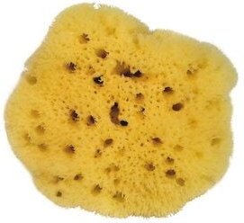 Croll & Denecke Naturschwamm sehr feinporig