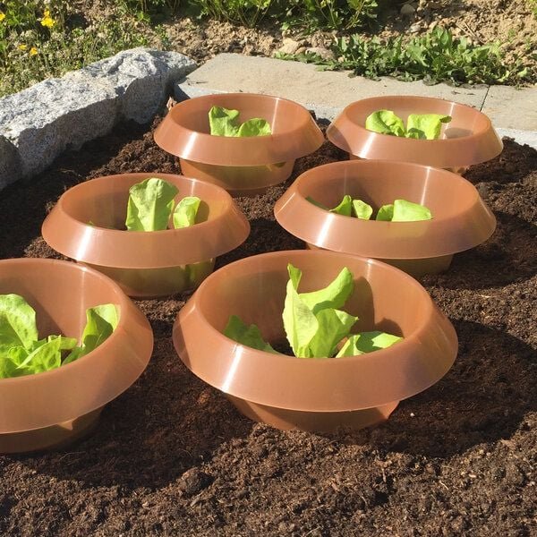 Andermatt Biogarten SchneckenStopp PP – wiederverwendbarer Schneckenkragen aus recyceltem Kunststoff zur Anwendung im Ga...