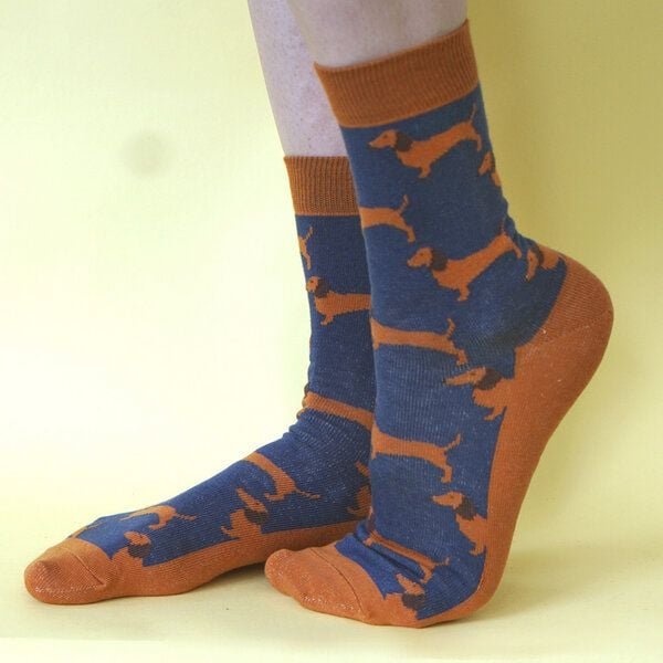 Fräulein Prusselise Dackel Socke Sausagedog blau orange bunt gemustert