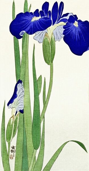 Photocircle Poster / Leinwandbild - Irisblumen von Ohara Koson