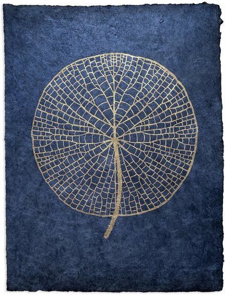 Veskor Cassiopeia VICTORIA AMAZONICA Seerosenblatt Linoldruck | 37 x 50 cm | Bronze auf Tiefblau