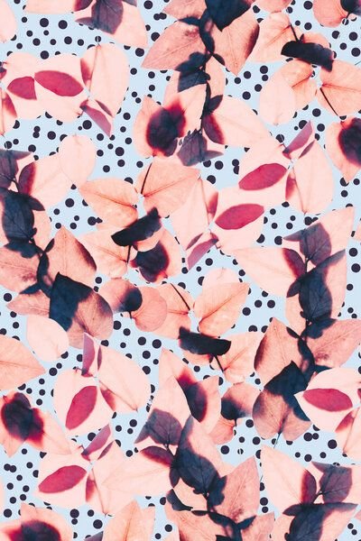 Photocircle Poster / Leinwandbild - Stillness Is The Flower Of Winter, All Hope Waits Beneath A Blanket Of White