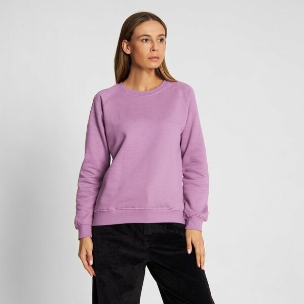 Dedicated Sweatshirt Ystad Raglan Base