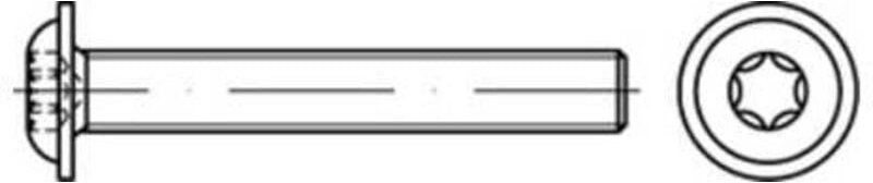 Thumbnail - ISO 7380-2 Flachkopfschraube A 2 M 3 x 30 -T10 Vollgewinde A 2 500 Stk