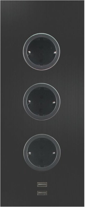 Caressi - Steckdosenelement 3ST29 3 Schukosteckdosen 2 USB-Charger schwarz