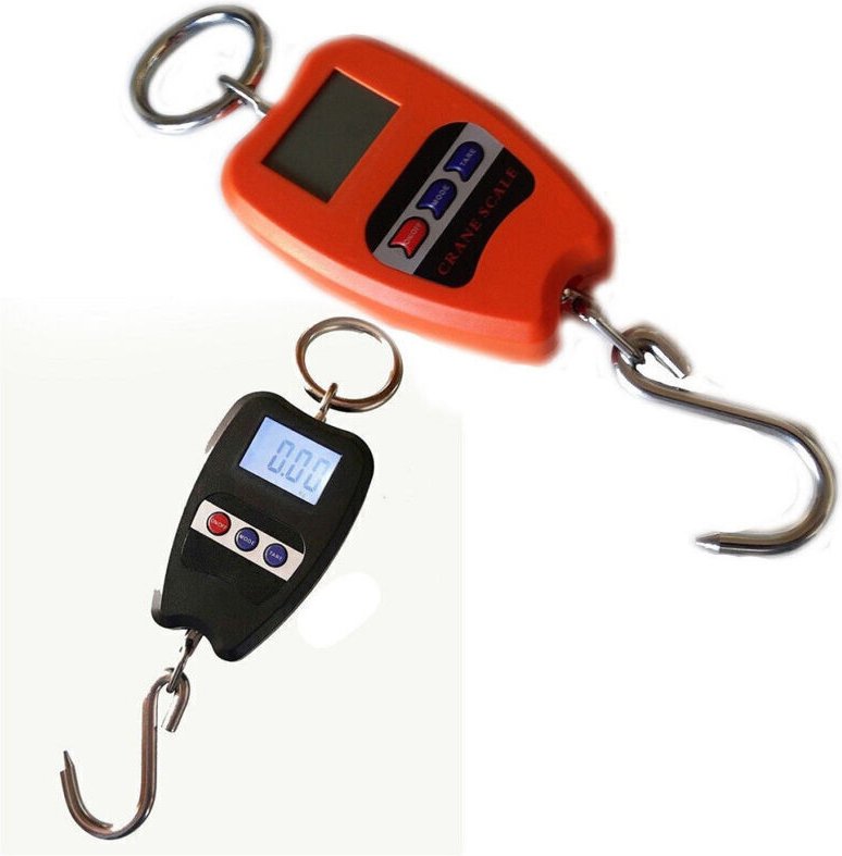 Professionelle digitale Federwaage mit Haken, Tragkraft 200 kg -