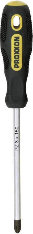 FLEX-DOT-Schraubendreher pozidriv pz 2 x 100 - 22074 - Proxxon