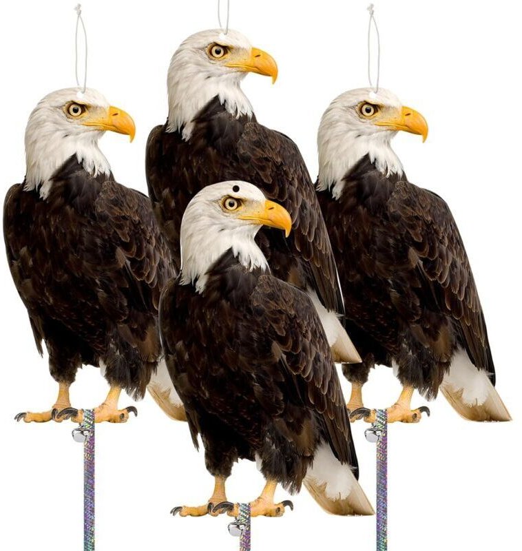 Vtizikl Loupe bandeau réglable avec lumière LED 8X 15X 23X loupe lunettes lunettes binoculaires loupe mains libres