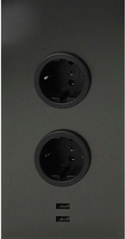 Caressi Ecksteckdose 2ST220 - Steckdose 2fach mit 2x USB für die vertikale Montage in einer Ecke, Edelstahl anthrazit, 2...
