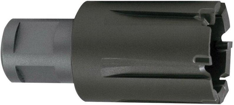 Ruko 1081520c - Hohlbroca Tecronona und Weldon Slastag