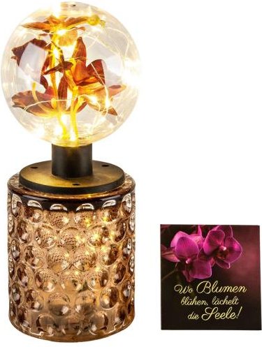 LED-Dekoleuchte Orchidee