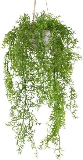 Moosfarn Hängeampel