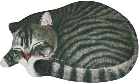 3D-Fußmatte Kater Max