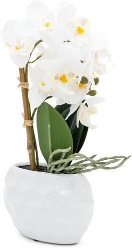 Orchidee im Keramiktopf weiß