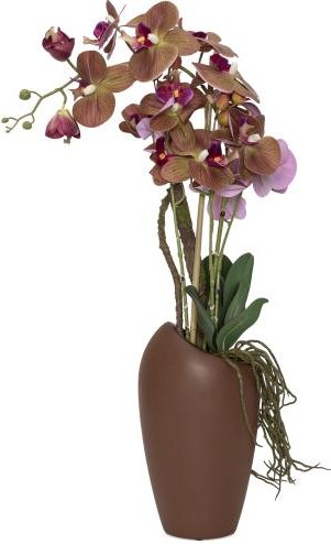 Phalaenopsisarrangement in Keramikvase 70cm