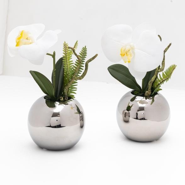 Phalenopsis im Silbertopf 2er