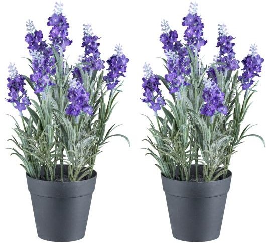 2er Set Lavendel lila