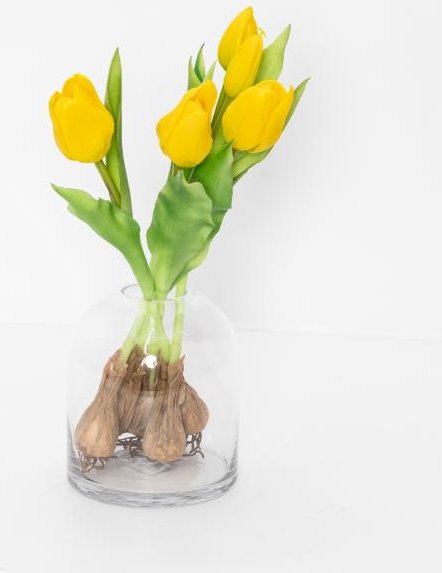 Tulpenbund gelb mit Vase 6tlg.