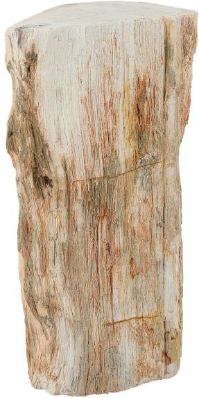 Darimana Fossiles Holz 3,5 - 4,5 kg