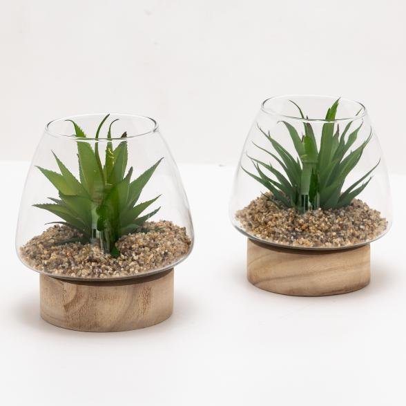 Sukkulente im Glas auf Holzfuß