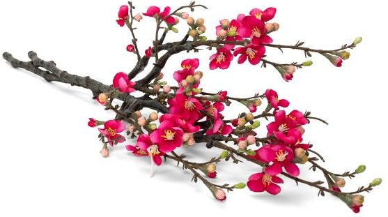 Quittenzweig 75cm cerise Set 2
