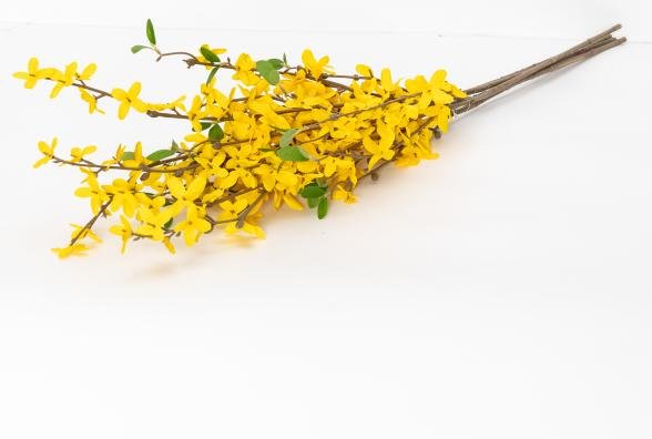 Forsythie 5tlg. 81cm gelb