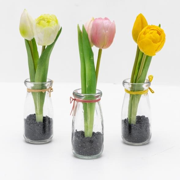 Tulpen in Glasvase 3er Set