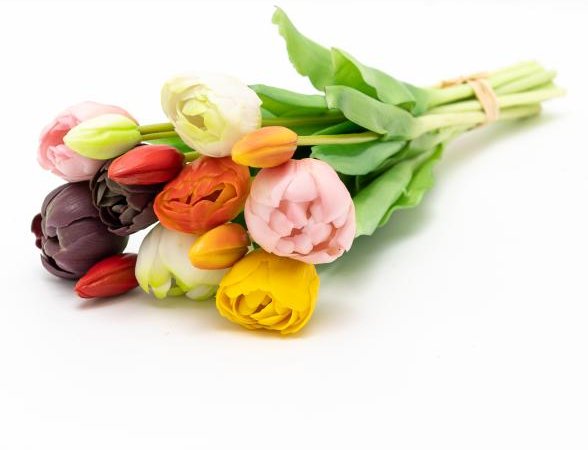 Gefüllte Tulpen12er Bund 39cm