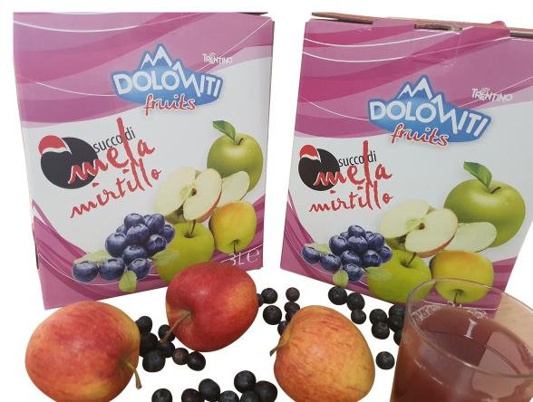 Rhönis Heidelbeere-Vitalsaft