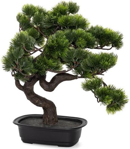 Bonsai Kiefer ca. 40x40cm