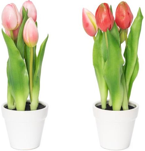 Tulpen im Keramiktopf 2er Set