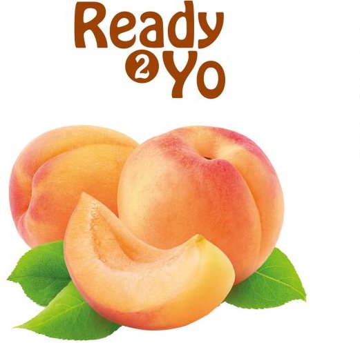 Ready2Yo Früchtetraum Aprikose 140g
