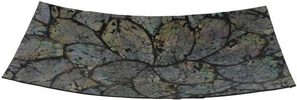 Muschel Schale rechteckig Abalone 36x17 cm