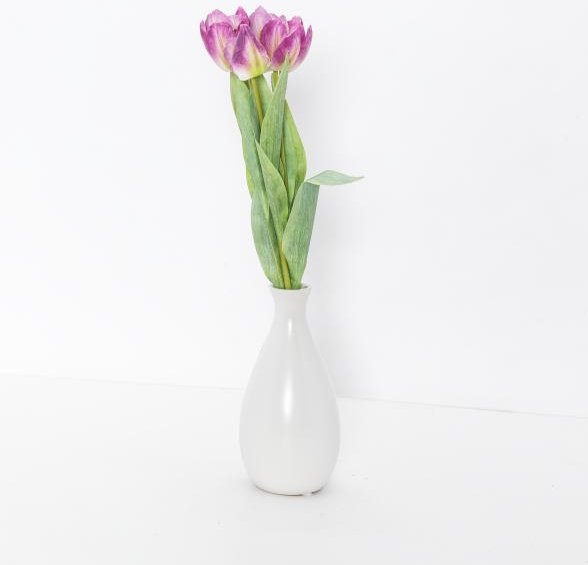 Tulpen lila in Porzellanvase 2er Set