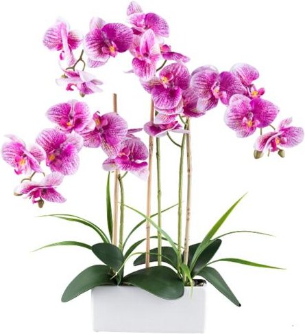 Orchidee Real Touch lila