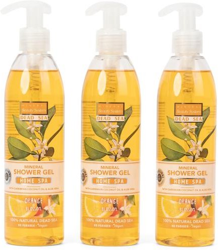 MBS Duschgel Orange 3x